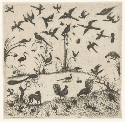 Vögel von Esaias van Hulsen
