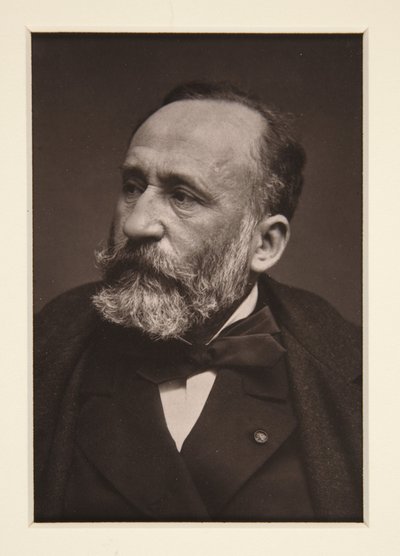 Porträt von Pierre Puvis de Chavannes (1824-1898) von Etienne Carjat