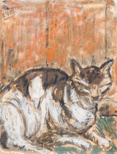 Katze von Eugeen van Mieghem
