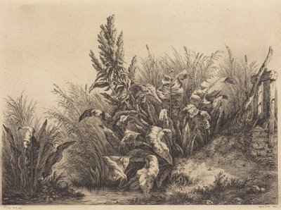 Wasser-Dock von Eugene Bléry