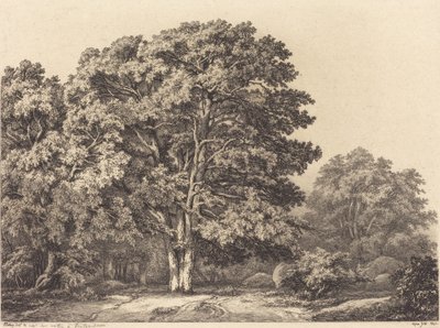 Eingang zu einem Wald von Eugene Bléry