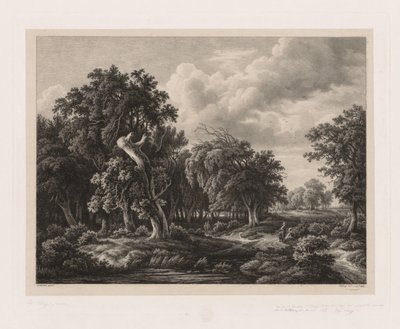 Gruppen verschiedener Pflanzen nach der Natur gezeichnet: Nr. 7, 1855 von Eugene Bléry