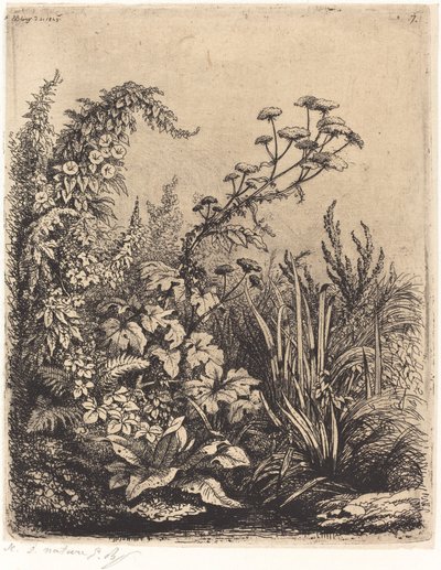 Kleine Wasserkresse mit Winde von Eugene Bléry