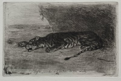 Schlafender Tiger am Eingang zu seinem Versteck von Eugène Delacroix
