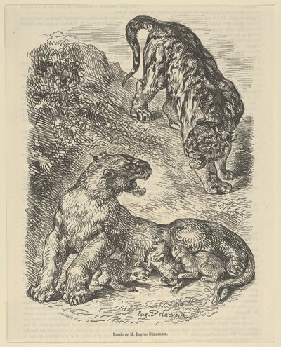 Tigerin wird von einem Tiger angegriffen, während sie ihre Jungen säugt von Eugène Delacroix