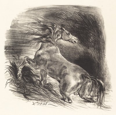 Wildes Pferd kommt aus dem Wasser (Cheval sauvage) von Eugène Delacroix