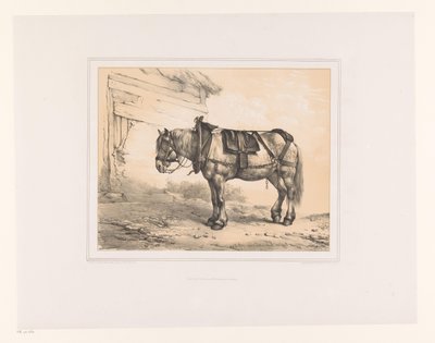 Pferd mit Sattel und Halfter von Eugène Verboeckhoven