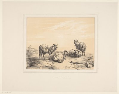 Vier Schafe von Eugène Verboeckhoven