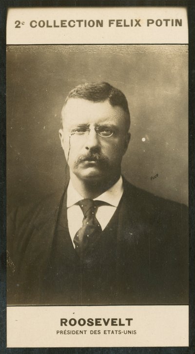 Theodore Roosevelt, Präsident der Vereinigten Staaten von European Photographer