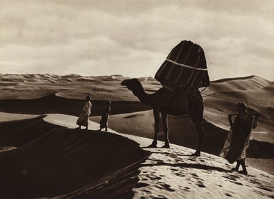 Transport von Frauen durch die Sahara von European Photographer