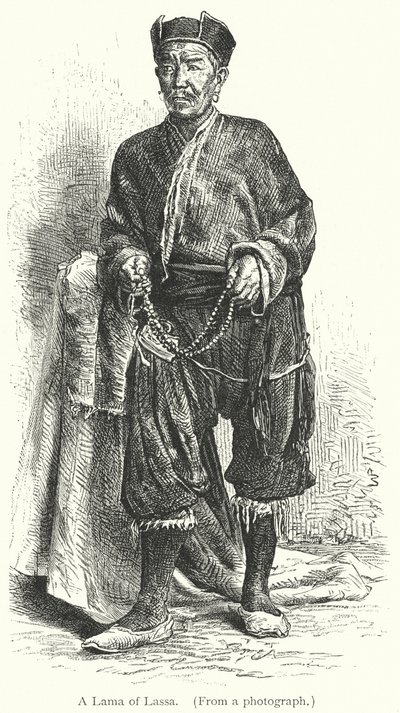 Ein Lama von Lassa (Gravur) von European School