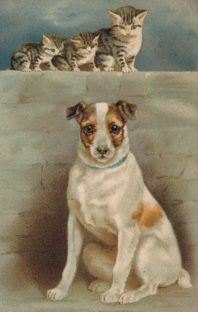 Katzen beobachten einen Hund von European School