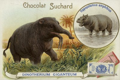 Deinotherium Giganteum und Nilpferd von European School
