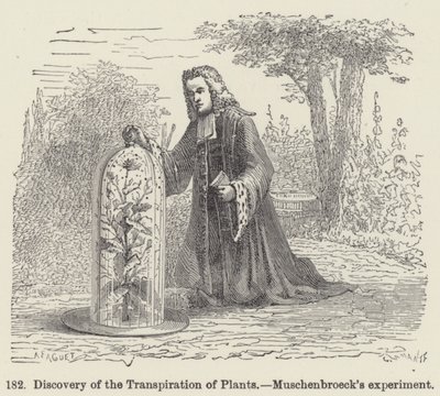 Entdeckung der Transpiration von Pflanzen, Muschenbroecks Experiment von European School