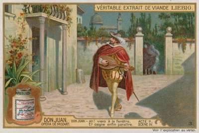 Don Giovanni singt für Elvira von European School