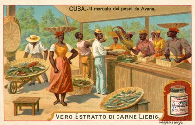 Fischmarkt von Havanna, Kuba von European School