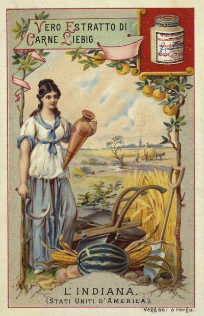 Indiana von European School