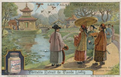 Drachenfliegenfest in den kaiserlichen Gärten, China von European School