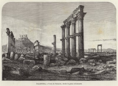 Palästina, Blick auf Palmyra von der großen Kolonnade aus von European School