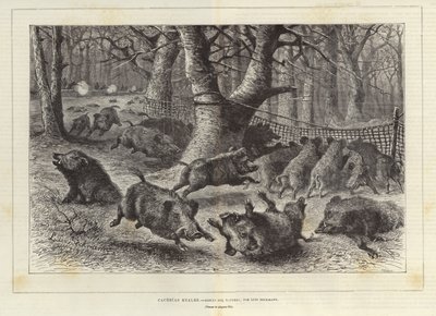 Königliche Jagd von European School