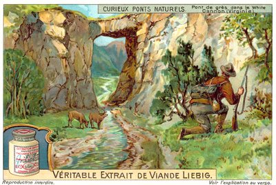 Sandsteinbrücke im Weißen Canyon, Virginia von European School