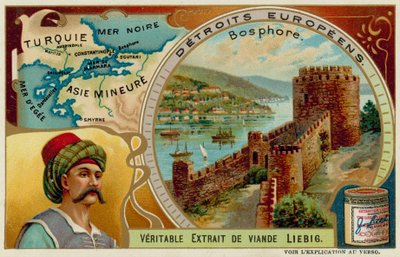 Meerenge am Bosporus von European School