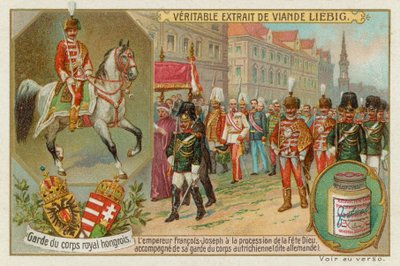 Leibwache des Kaisers von Ungarn von European School
