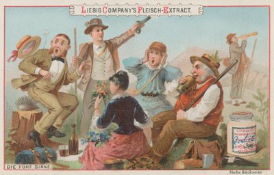 Die fünf Sinne von European School