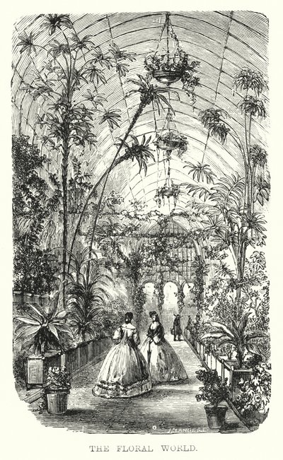 Die Blumenwelt von European School