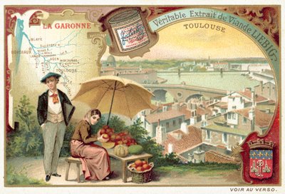 Die Garonne und ein Blick auf Toulouse von European School