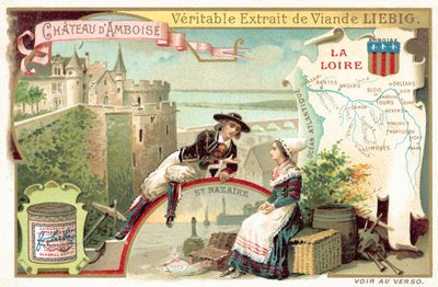 Die Loire und ein Blick auf das Schloss von Amboise von European School