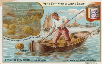 Schätze des Meeres, Liebig-Karte, frühes 20. Jahrhundert von European School