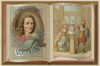 Voltaire von European School
