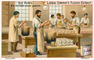 Wachsen von Puppenköpfen von European School