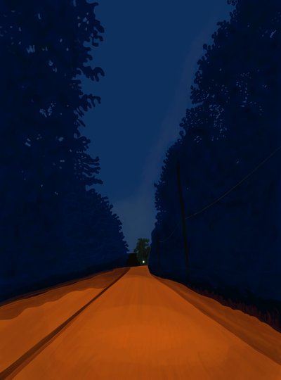 Feldweg bei Nacht, Brooklyn von Evan Sklar