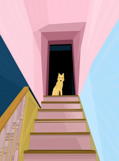 Hund oben auf der Treppe von Evan Sklar
