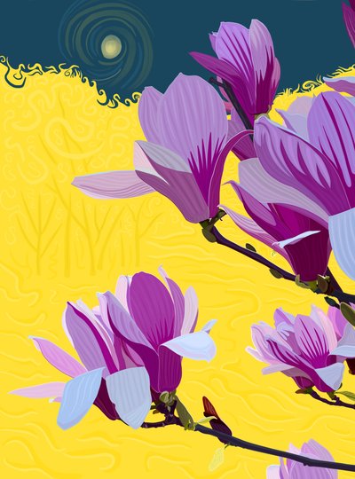 Blühender Tulpenbaum von Evan Sklar