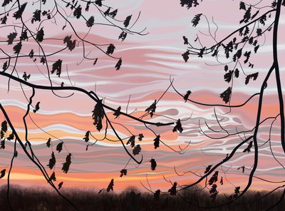 Eichenblätter und Himmel, Brooklyn von Evan Sklar