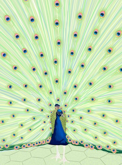 Pfau von Evan Sklar