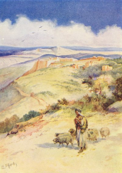 David der Hirtenjunge von Evelyn Stuart Hardy