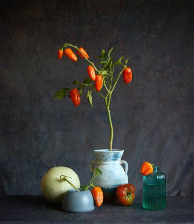 Orange Tomaten rustikales Stillleben von Fangping Zhou