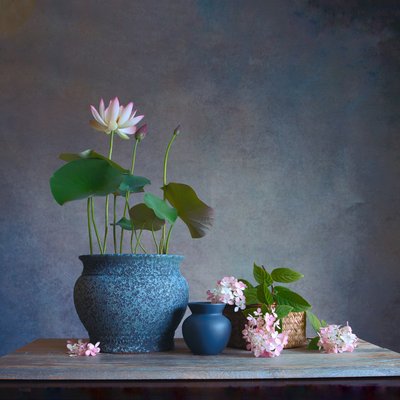 Serenes Lotus-Stillleben von Fangping Zhou
