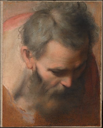 Kopf des heiligen Joseph von Federico Barocci