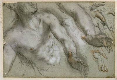 Studie für die Figur des Heiligen im Gemälde "Martyrium des Hl. Vitalis" von Federico Barocci