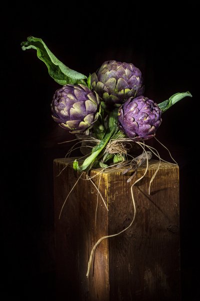 Elegante violette Artischocken von Felice Angelino