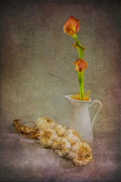 Rustikale Knoblauch Calla-Lilien von Felice Angelino