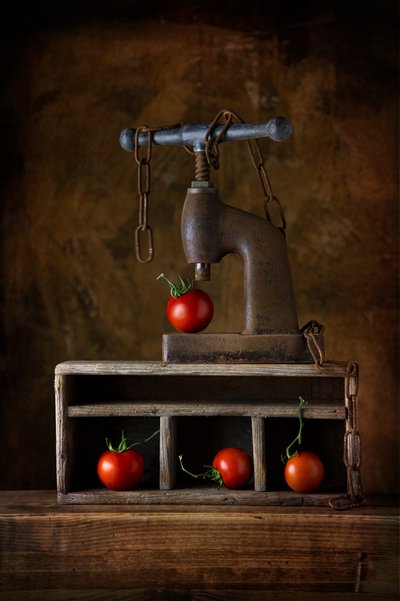 Rustikale Tomatenpresse von Felice Angelino
