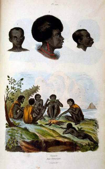 Anthropologische Illustration, die die äthiopische Rasse darstellt von Felix-Edouard Guerin