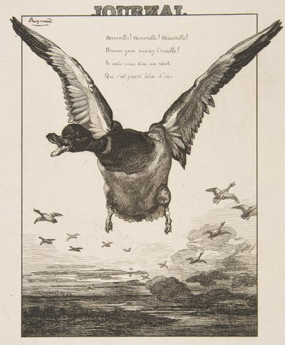 Die Ente von Felix Bracquemond