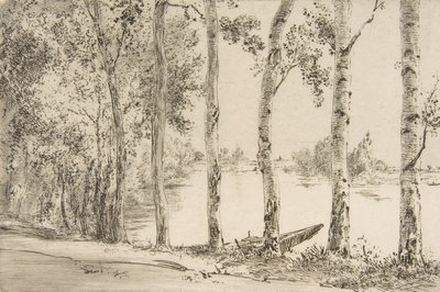 Trembles am Ufer der Seine, ca. 1884 von Felix Bracquemond